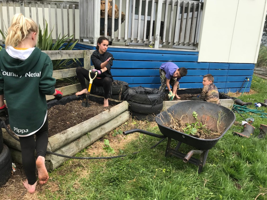 w0cAn0dsSGSiEvgLDfqCAg